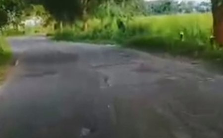 ରାସ୍ତାରେ ଯିବାକୁ ଭୟ