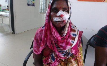 ।। ଭାଲୁ ଆକ୍ରମଣରେ ମଳିହା ଗୁରୁତର ।।