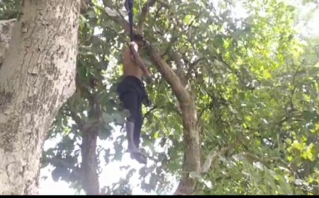 ।।  ପ୍ରେମିକା ପାଖକୁ ଆସି  ପ୍ରେମିକ ସାଜିଲା ଝୁଲନ୍ତା ଶବ ।।