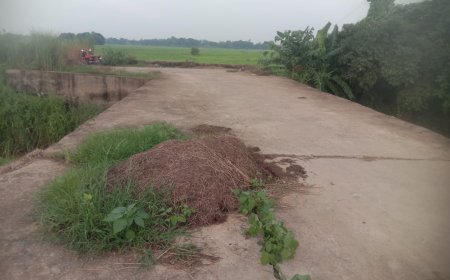 ।। ନିମ୍ନମାନର କାମ ସାଇଡି ୱାଲ ଫାଟି ଆଁ ।।