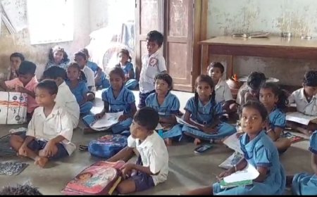 ।। ଅବ୍ୟବସ୍ଥା ଶୁଲିପଦର ସରକାରୀ ଉନ୍ନୀତ ଉଚ୍ଚ ବିଦ୍ୟାଳୟ ।।