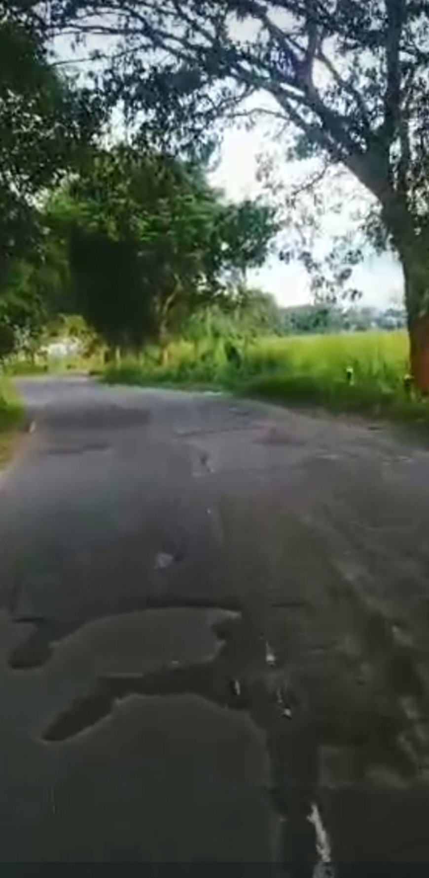ରାସ୍ତାରେ ଯିବାକୁ ଭୟ