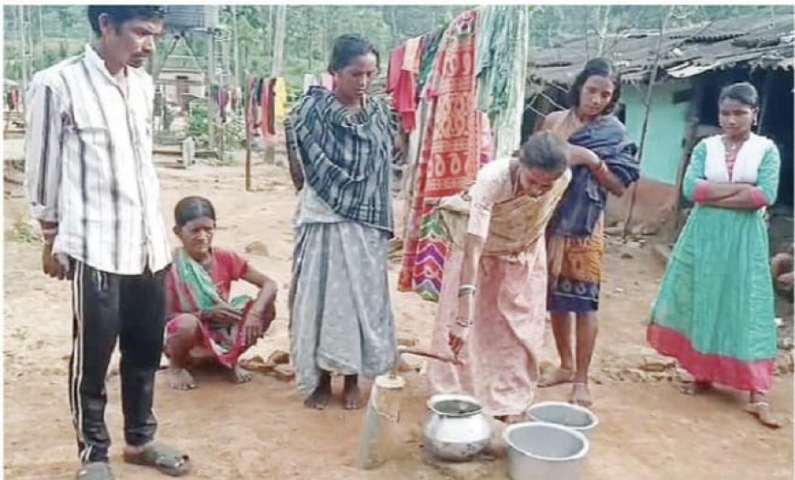 ।। ମୌଳିକ ସୁବିଧା ରୁ ବଞ୍ଚିତ ୩୮ ବିସ୍ଥାପିତ କୁଟିଆ ଆଦିବାସୀ ପରିବାର ନିଜ ଭିଟାମାଟିକୁ ଫେରିବେ ।।