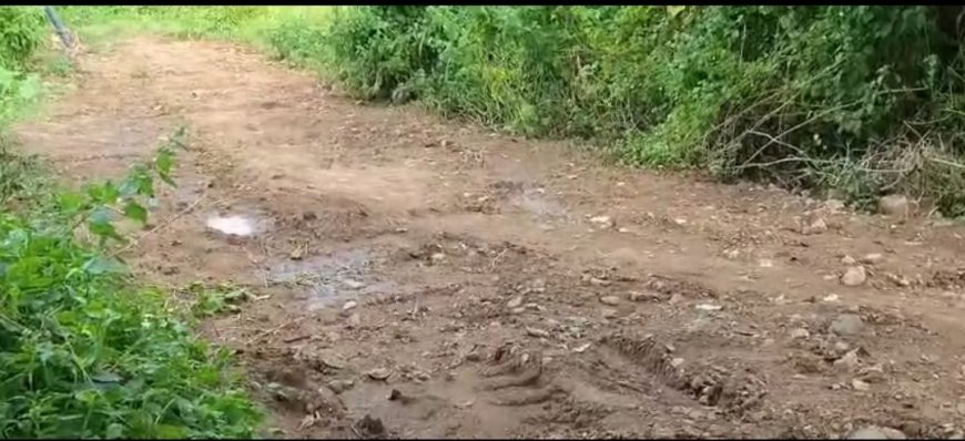 ।। ଧନଶୁଲି ପଞ୍ଚାୟତ ଚତାବାନ୍ଦୁଗୁଡ଼ାର ଗାଁ ଭିତର ରାସ୍ତା ଅତି ଶୋଚନୀୟ ।।
