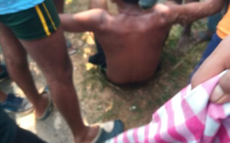 ।। ହାତୀ ଆକ୍ରମଣରେ ଯୁବକ ଗୁରୁତର ।।