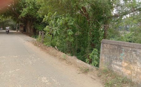 ।। ବିପଦକୁ ହାତ ଠାରି ଡାକୁଛି କାନ୍ତକାର ସେତୁ  ସେତୁର ଉଭୟ ପଟ ବାଡ଼ା ନିର୍ମାଣ କରାଯାଉ ।।