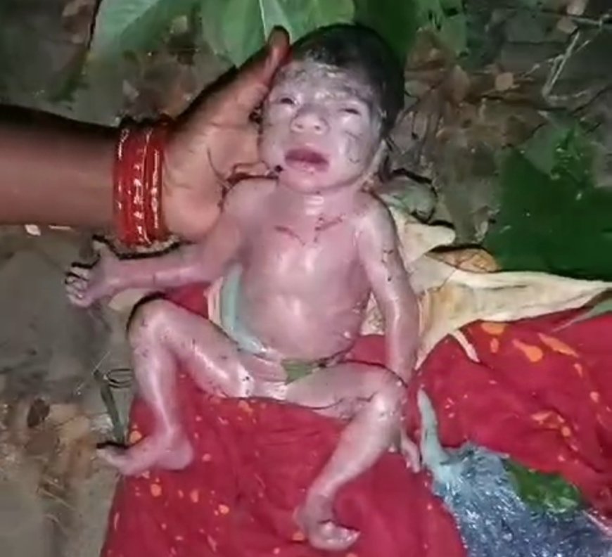 ।। ଅଳିଆ ରେ ଶିଶୁକନ୍ୟା,ଜୀବନଦାନ ଦେଲେ ଗ୍ରାମବାସୀ ।।