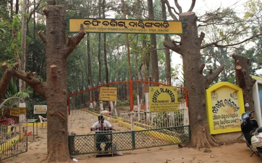 ।। ଦାରିଙ୍ଗବାଡି କଫି ବଗିଚା ଉନ୍ନତି କରଣ ନା ରେ ଲକ୍ଷାଧିକ ଟଙ୍କା ହରିଲୁଟ ଅଭିଯୋଗ : ତଦନ୍ତ ଦାବୀ ।।