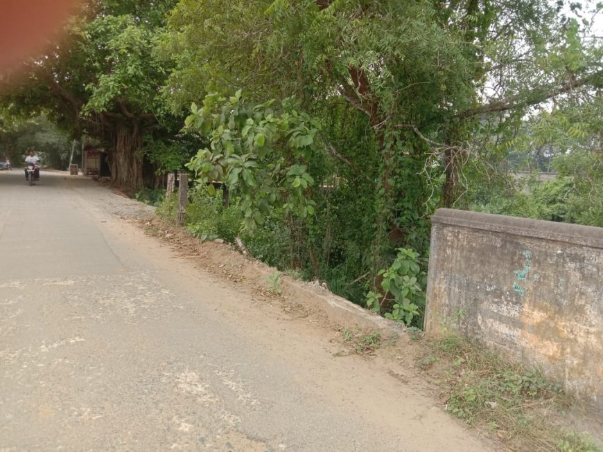 ।। ବିପଦକୁ ହାତ ଠାରି ଡାକୁଛି କାନ୍ତକାର ସେତୁ ସେତୁର ଉଭୟ ପଟ ବାଡ଼ା ନିର୍ମାଣ କରାଯାଉ ।।