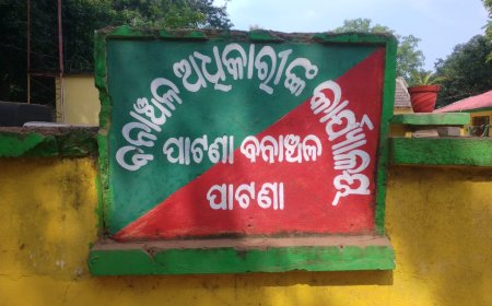 ।। ବେଧଡକ ଚାଲିଛି ଗଛ କଟା, ନିରବଦ୍ରଷ୍ଟା ସାଜିଥିଲା ପାଟଣା ବନ ବିଭାଗ ।।