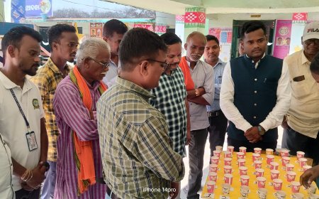 ।। ସରକାରୀ ଉଚ୍ଚ ପ୍ରାଥମିକ ବିଦ୍ୟାଳୟରେ ବିଦ୍ୟାଳୟ ସ୍ତରୀୟ ବିଜ୍ଞାନ ମେଳା ଅନୁଷ୍ଠିତ ।।