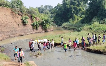 नीचे आहार के बाद प्रति आहार मुद्दा