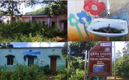 ପୁଞ୍ଜିସିଲ୍ ଜଳପ୍ରପାତର ଦୟନୀୟ ଅବସ୍ଥା:ଲକ୍ଷାଧିକ ଟଙ୍କା ବ୍ୟୟ ପରେବି କାମ ଅଧା ଅଧୁରା