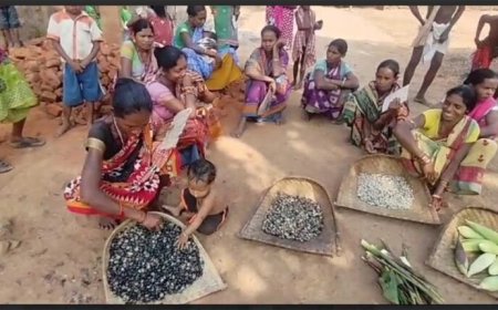 Mango Takua Jau Repetition: No Rice for Four Months: Tribal Lives on Khursa, Kardi and Maize