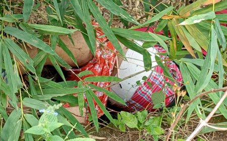 The body of the missing timber trader was recovered from the gorge, raising the concern of the police