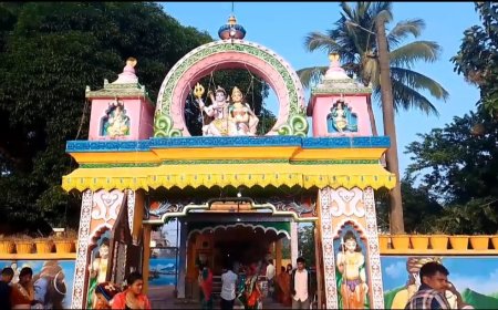 कार्तिक पूर्णिमा पर बैतरणी में श्रद्धालुओं की भीड़ ने चलाई नाव, 10 हजार श्रद्धालु डूबे