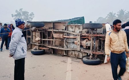 Taking care of the service, people picked up a vehicle loaded with chickens and took some more chickens