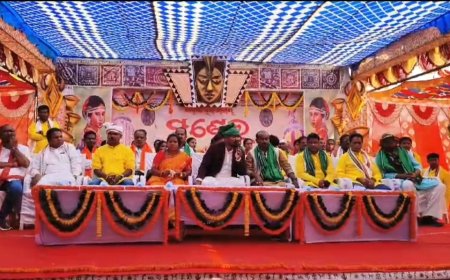 ଡାବୁଗାଁ ରେ ଧୂମଧାମରେ ପାଳିତ ଲୋକ ମହୋତ୍ସବ ମଣ୍ଡେଇ