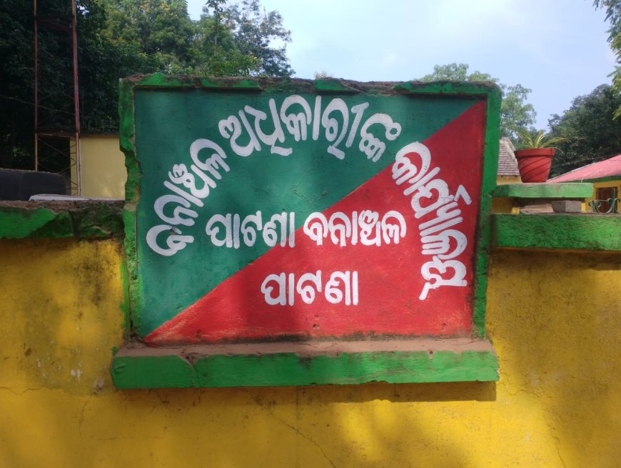 ।। ବେଧଡକ ଚାଲିଛି ଗଛ କଟା, ନିରବଦ୍ରଷ୍ଟା ସାଜିଥିଲା ପାଟଣା ବନ ବିଭାଗ ।।
