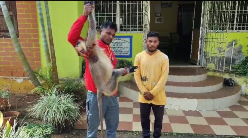 Monkey killing and two trials