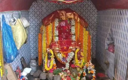 ଷଷ୍ଠ ବାର୍ଷିକ ତାରିଣୀ ଯଜ୍ଞ ଉଦଯାପିତ