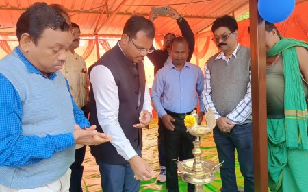 ଜିଲ୍ଲାପାଳଙ୍କ ଦ୍ୱାରା ଶୁଳିଆପଦା ଠାରେ  ଜିଲ୍ଲାସ୍ତରୀୟ ଧାନ ମଣ୍ଡି ଉଦଘାଟନ