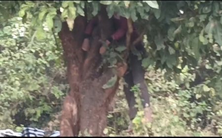 ତେନ୍ତୁଳିଖୁଣ୍ଟି ଥାନା ଏ ଏସ ଆଇ ଙ୍କ ଝୁଲନ୍ତା ଶବ ଉଦ୍ଧାର