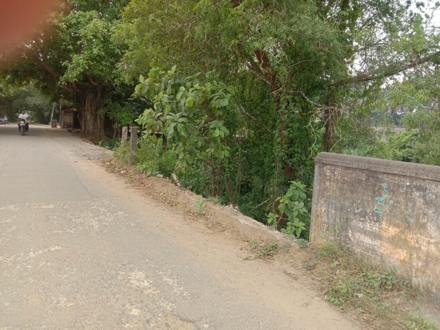 ବିପଦକୁ ହାତ ଠାରି ଡାକୁଛି କାନ୍ତକାର ସେତୁ:ସେତୁର ଉଭୟ ପଟ ବାଡ଼ା ନିର୍ମାଣ ପାଇଁ ଦାବି