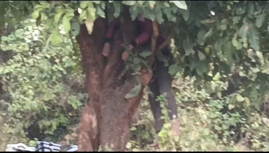 ତେନ୍ତୁଳିଖୁଣ୍ଟି ଥାନା ଏ ଏସ ଆଇ ଙ୍କ ଝୁଲନ୍ତା ଶବ ଉଦ୍ଧାର