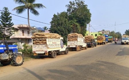 ଏବର୍ଷ ମକର ପଡ଼ିବ ଫିକା , ଧାନ ବିକି ନପାରି ଚାଷୀ ହତାଶ