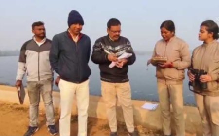 ବେତନଟୀ ରେଞ୍ଜ ଅଧୀନ ପାଉଁଶିଆ ବଡ଼ଯଡ଼ ବନ୍ଧ ଠାରେ ଵେଦେଶୀ ପକ୍ଷୀ ଗଣନା କାର୍ଯ୍ୟକ୍ରମ