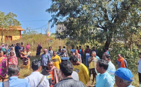 ଜମି ବିକ୍ରୟ କରିନୁ ଅନ୍ୟଜଣଙ୍କ  ନାମରେ ପଟା ହେଲା କେମିତି ଅଭିଯୋଗ ଆଣିଲେ ଆଦିବାସୀ ଯୁବକ