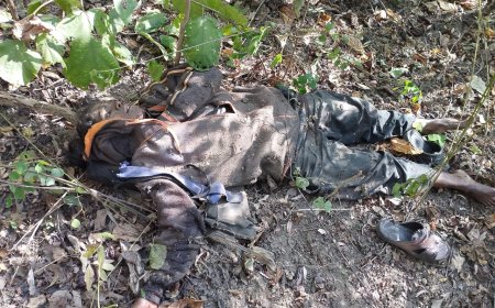 ନକ୍ସଲ ଅପରେସନରେ ଦୁଇ ମାଓବାଦୀ ନିପାତ ସହ  ବିପୁଳ ପରିମାଣର ଅସ୍ତ୍ର ଶସ୍ତ୍ର ଜବତ