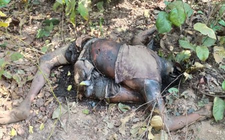 ନିଖୋଜ ବୃଦ୍ଧଙ୍କ ମୃତଦେହ ଉଦ୍ଧାର:ହାତୀ ଆକ୍ରମଣରେ ମୃତ ସନ୍ଦେହ