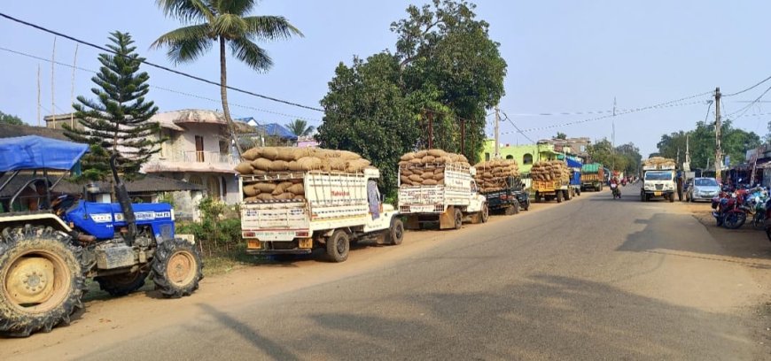 ଏବର୍ଷ ମକର ପଡ଼ିବ ଫିକା , ଧାନ ବିକି ନପାରି ଚାଷୀ ହତାଶ