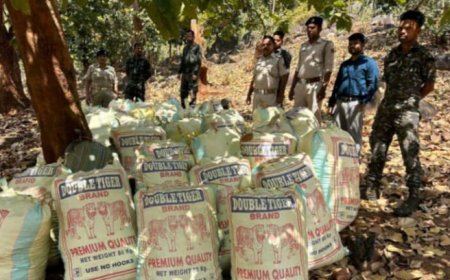 କନ୍ଧମାଳ ଜିଲ୍ଲାର ବିଭିନ୍ନ ଥାନା ଅଞ୍ଚଳରେ ଏକକାଳୀନ ଚଢ଼ାଉ; ବିପୁଳ ପରିମାଣର ଗଞ୍ଜେଇ ଜବତ: ଜଣେ ଗିରଫ