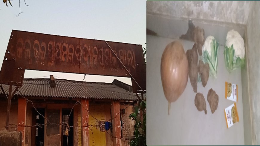 ମାଳିମାର୍ଲା ପ୍ରକଳ୍ପ ଉଚ୍ଚ ପ୍ରାଥମିକ ବିଦ୍ୟାଳୟରେ ଖାଇବାର ଅବୈବସ୍ଥା:ଅଭିଯୋଗ ଆଣିଛନ୍ତି ପିଲା