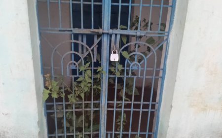 ଭୁତ କୋଠରୀ ପାଲିଟିଛି ଥୁଆମୂଳ ରାମପୁର ପ୍ରାଣୀ ଚିକିତ୍ସାଳୟ ନିରବଦ୍ରଷ୍ଟା ସାଜିଛି ପ୍ରଶାସନ