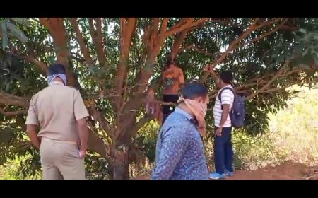 ନିର୍ଜନସ୍ଥାନର ଗଛରେ ଅଜଣା ବ୍ୟକ୍ତିଙ୍କ ଝୁଲନ୍ତା ଅବସ୍ଥାରେ  ମୃତଦେହ ଉଦ୍ଧାର ।