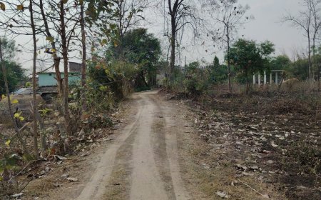 ସଦର ବ୍ଲକ ଅନ୍ତର୍ଗତ ଚଗାଁ  ପଂଚାୟତ ର ଘଣ୍ଟବାହାଲି ଗ୍ରାମବାସି ମାନଙ୍କ  ପାଇଁ ରାସ୍ତା ସାତସପନ