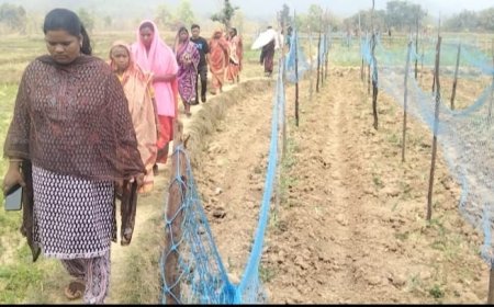 ଜନ କଲ୍ୟାଣ ପ୍ରୋଜେକ୍ଟ ତରଫରୁ ବିଭିନ୍ନ ପନିପରିବା ଚାଷ କ୍ଷେତ୍ର ପରିଦର୍ଶନ