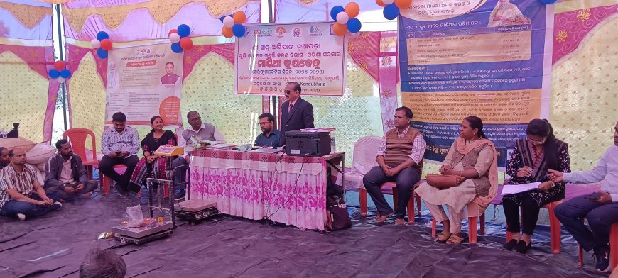 ମାଣ୍ଡିଆ (ରାଗି) ସଂଗ୍ରହରେ ନୂଆପଡା ଜିଲ୍ଲା ପ୍ରଥମ ସ୍ଥାନ ଅଧିକାର କରିଛି