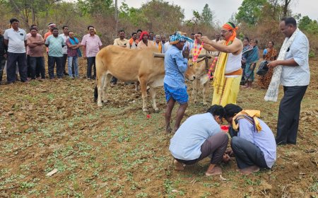 ରାଜ୍ୟ କାର୍ଯ୍ୟ କାରିଣୀ ସଦସ୍ୟ ଯଦୁମଣି ପାଣିଗ୍ରାହୀ ଙ୍କ ନେତୃତ୍ୱ ରେ  ଅକ୍ଷୟ ତୃତୀୟା ଦିବସ  ପାଳିତ