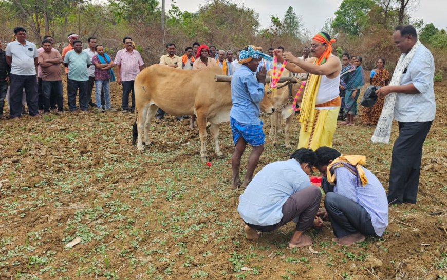 ରାଜ୍ୟ କାର୍ଯ୍ୟ କାରିଣୀ ସଦସ୍ୟ ଯଦୁମଣି ପାଣିଗ୍ରାହୀ ଙ୍କ ନେତୃତ୍ୱ ରେ ଅକ୍ଷୟ ତୃତୀୟା ଦିବସ ପାଳିତ