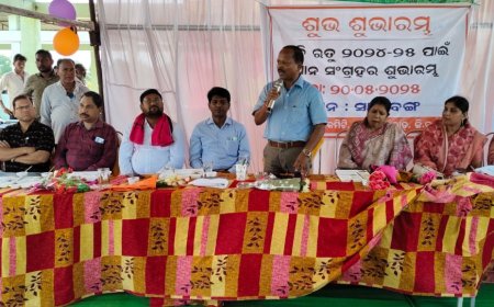 ନୂଆପଡ଼ାରେ ଜିଲ୍ଲାରେ ରବି ରୁତୁ  ପାଇଁ ସାରାବଙ୍ଗରୁ ଧାନ ସଂଗ୍ରହ  ଆରମ୍ଭ