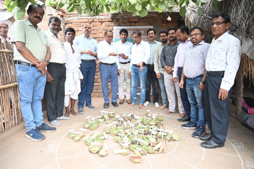 ନୂଆପଡା ଜିଲ୍ଲା ସେଠ୍ ଜାମପାଣୀ ଗାଁ ରେ ଲୁପ୍ତ ପ୍ରାୟ ଖାଦ୍ୟର ପ୍ରଦର୍ଶନୀ ଆୟୋଜିତ