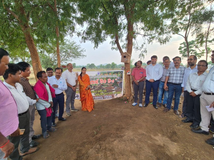 ନୂଆପଡା ଜିଲ୍ଲାରେ ଆରମ୍ଭ ହେଲା ନୂତନ କାର୍ଯ୍ୟକ୍ରମ-ପକ୍ଷୀ ପାଇଁ ଦିନଟିଏ