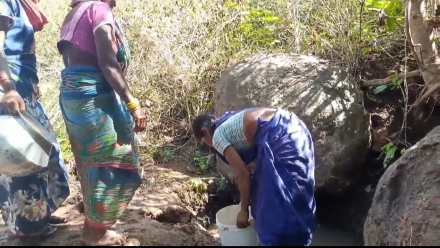 ଆଦିବାସୀ ତାଡିଝୁଲା ଗାଁରେ ସରକାରୀ ଯୋଜନା ବାଟବଣା:ବିଜୁଳି ଓ ପାନୀୟ ଜଳ ସାତ ସପନ