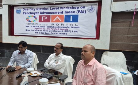 ନୂଆପଡ଼ାରେ ଏସ୍ ଆଇ ଆର୍ ଡି ତରଫରୁ ପଞ୍ଚାୟତ ବିକାଶ ସୂଚକାଙ୍କ ଉପରେ କର୍ମଶାଳା ଅନୁଷ୍ଠିତ