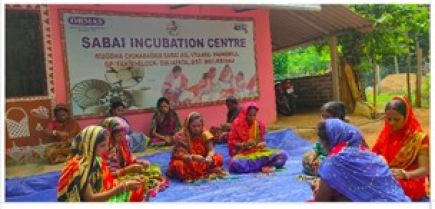 ମୟୂରଭଞ୍ଜ ଜିଲ୍ଲାରେ ଓରମାସର ଉପଲବ୍ଧି